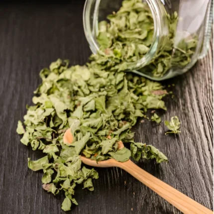 برگ مورینگا خشک