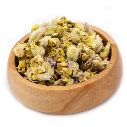 گل ختمی سفید