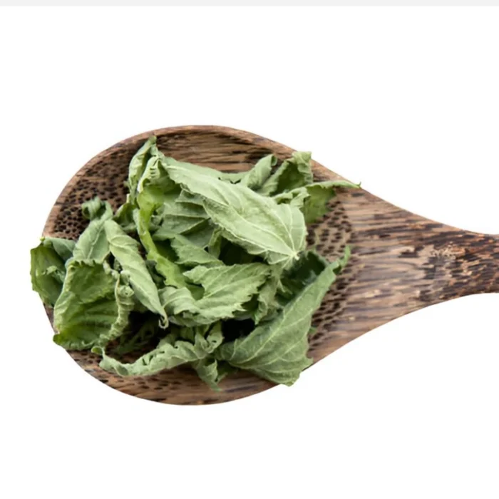 گزنه