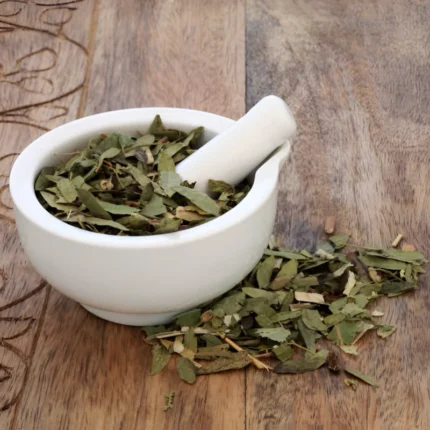 برگ سنا خشک شده