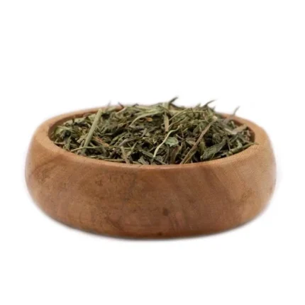 برگ کاسنی