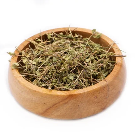 کاکوتی