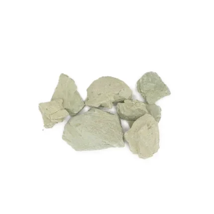 گل سر شور درشت