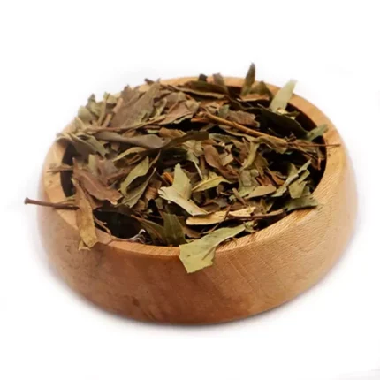 برگ بید