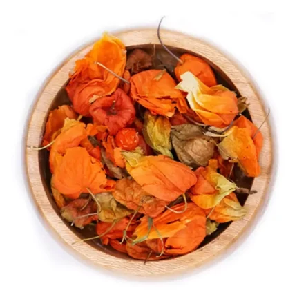 عروسک پشت پرده