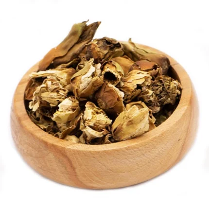 گل نیلوفر خشک شده