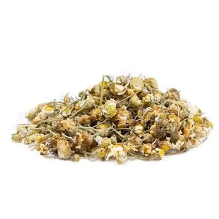 بابونه چشم گاوی
