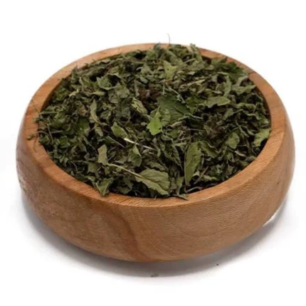 بادرنجبویه